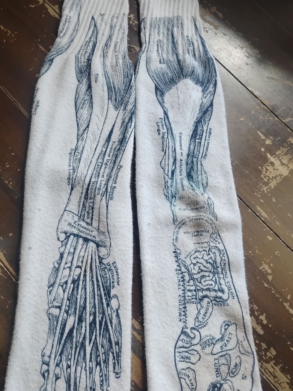 Source Unknown White Dress Socks with Black Anatomical Print